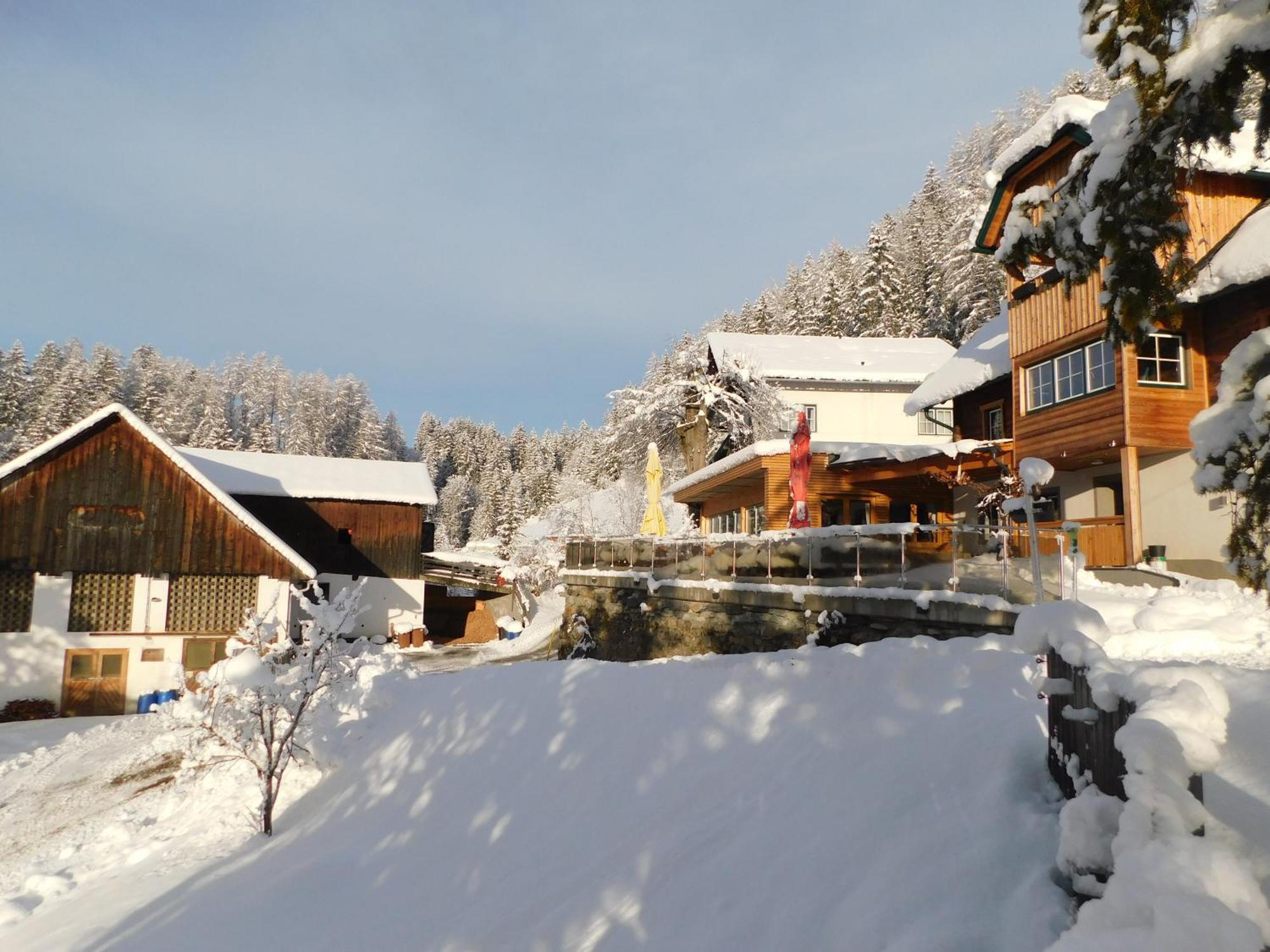 Gasthof Trattner Pension Waldhof Sankt Peter am Kammersberg Ngoại thất bức ảnh